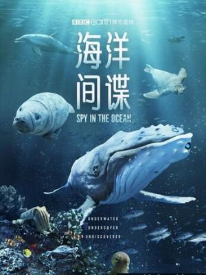 热剧